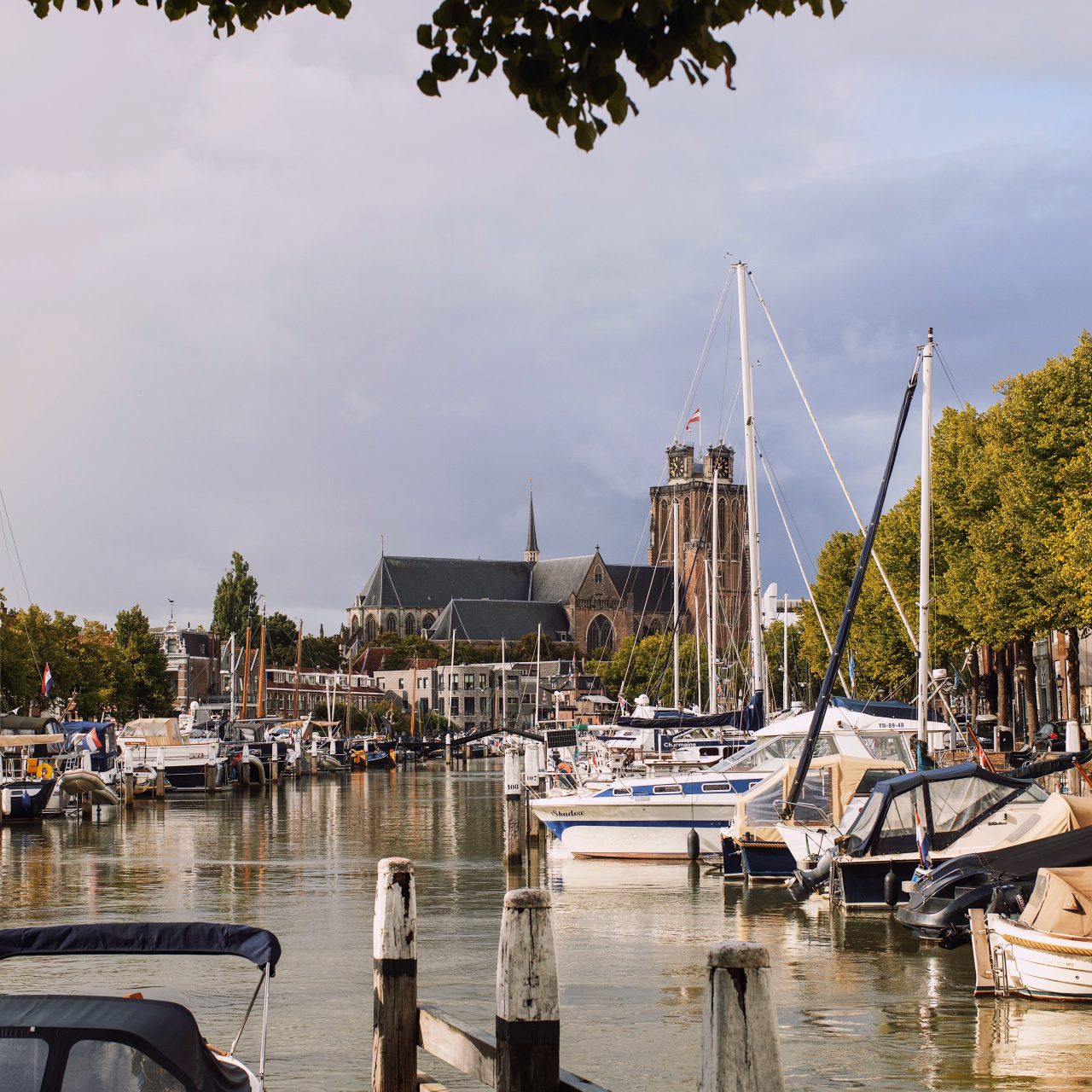 Nieuwe Haven met jachthaven en Grote Kerk.