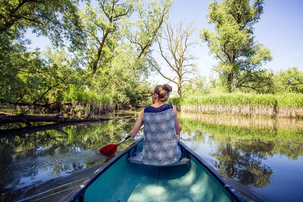 Nationaal Park de Biesbosch - Dordrecht - kano - varen - water