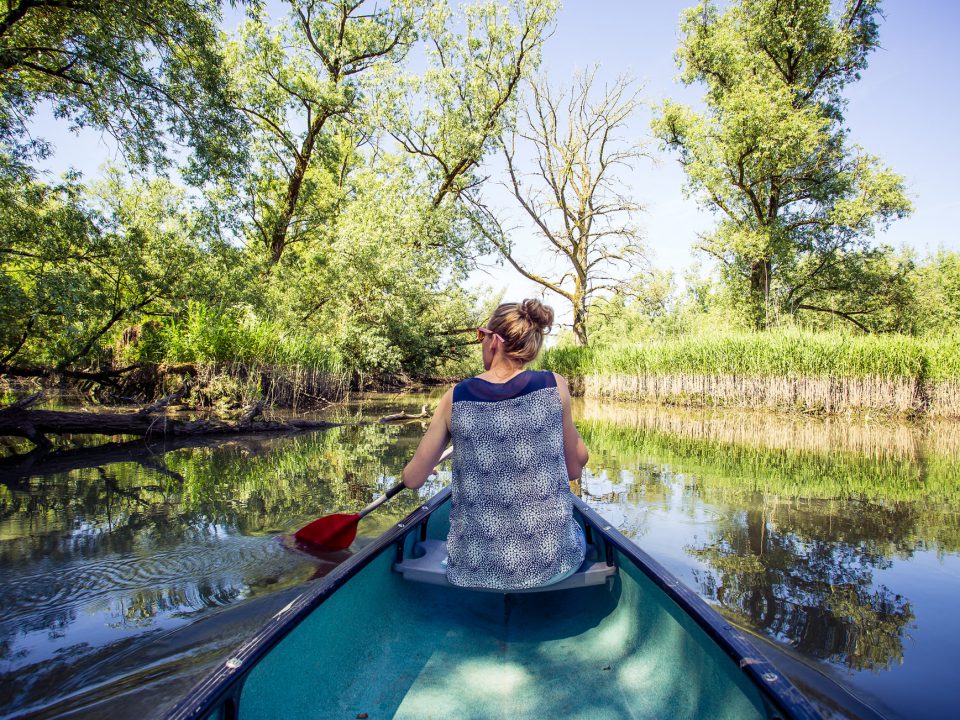 Nationaal Park de Biesbosch - Dordrecht - kano - varen - water