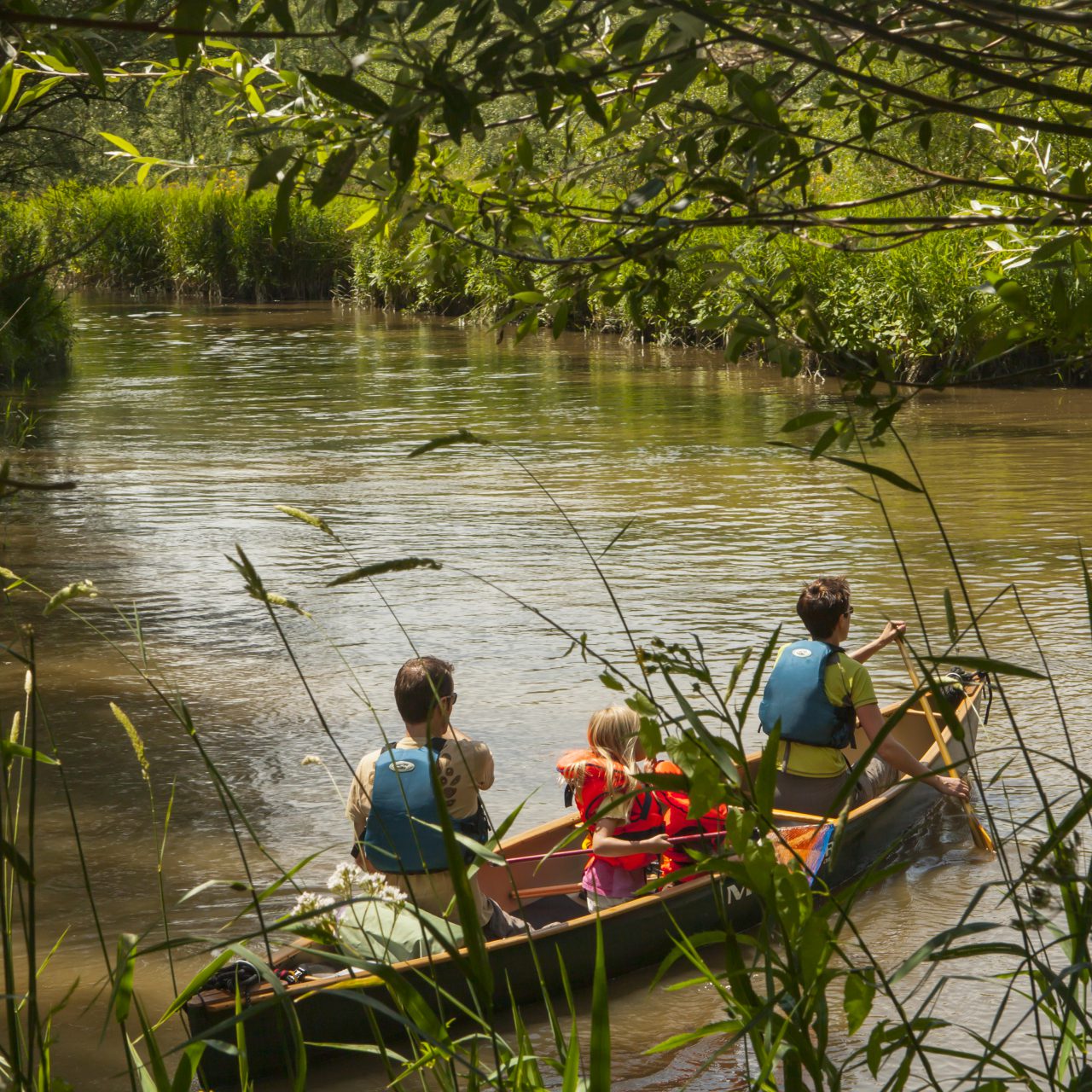 Nationaal Park de Biesbosch - Dordrecht - toerisme - kano - water - varen - kinderen