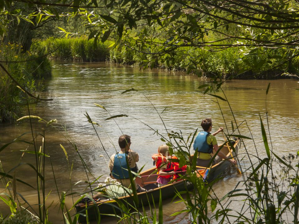 Nationaal Park de Biesbosch - Dordrecht - toerisme - kano - water - varen - kinderen