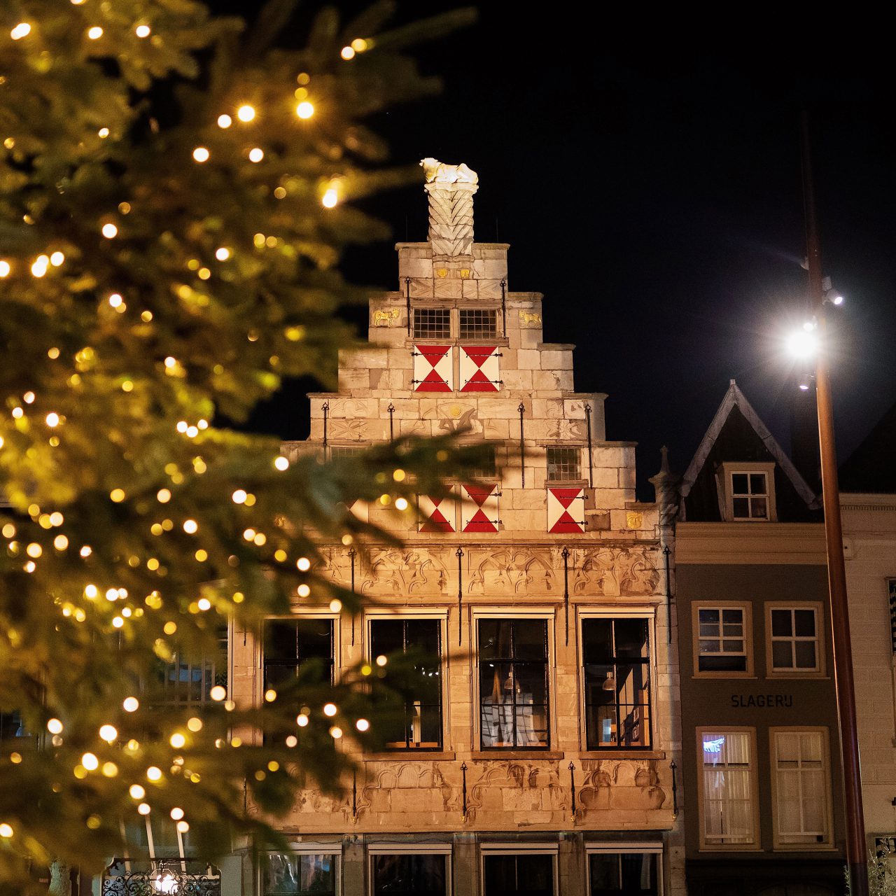 Bibliotheek Gulden Os met versierder kerstboom.