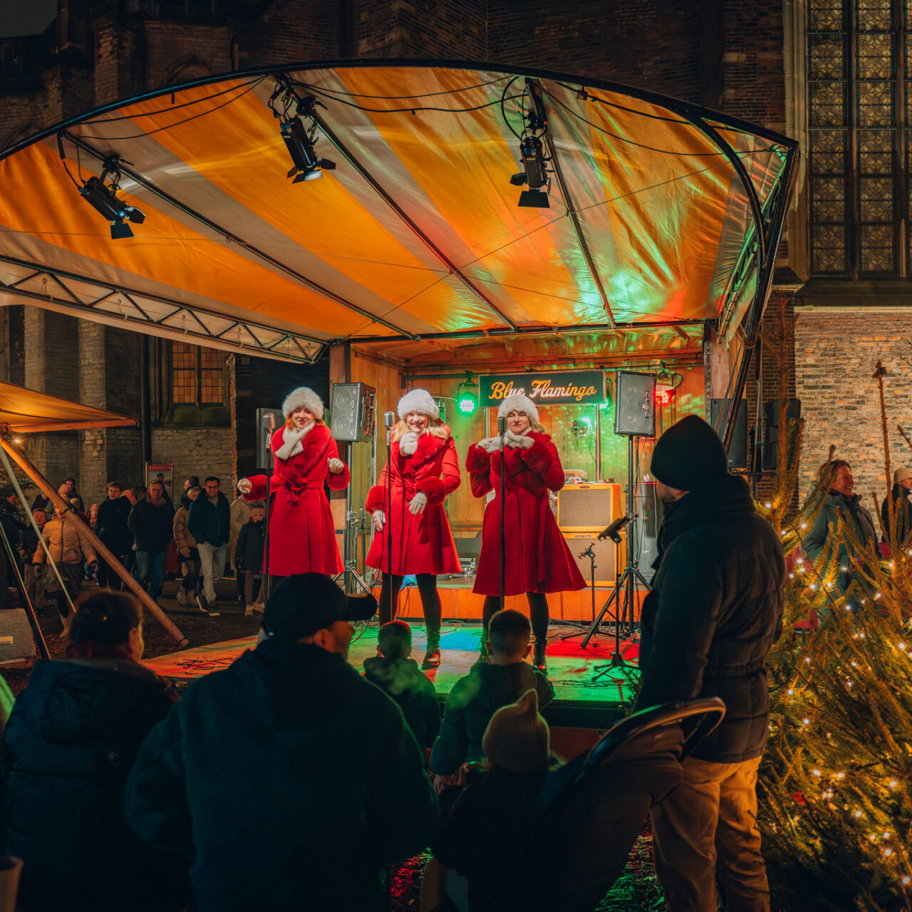 Wintertuin muzikale optredens Dordtse Decemberdagen