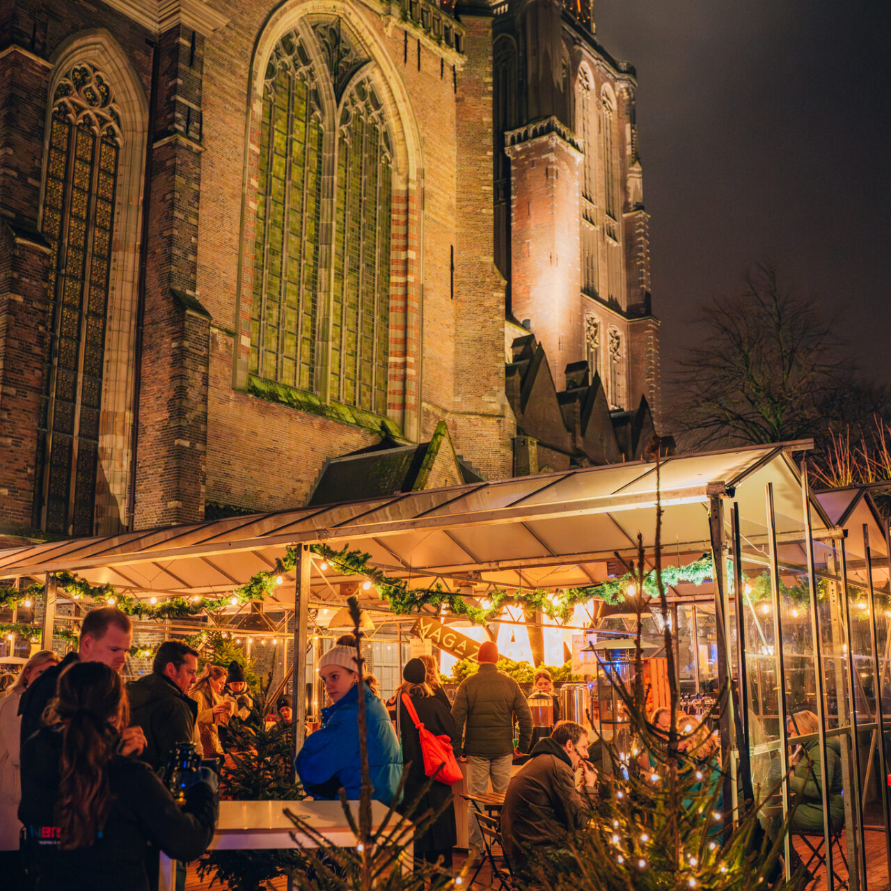 Wintertuin Grote Kerk Dordtse Decemberdagen